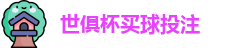 足球世界俱乐部杯2025